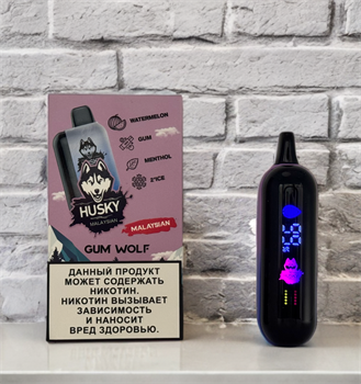 Husky Malaysian 20000 - 20000 затяжек 5820