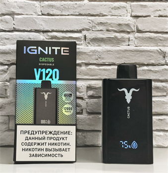 Ignite V120 12000 - 12000 затяжек 5979