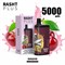 Rasht plus - 5000 затяжек Vape-Elita Магазин электронных испарителей и сигарет