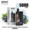 Rasht plus - 5000 затяжек Vape-Elita Магазин электронных испарителей и сигарет