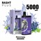 Rasht plus - 5000 затяжек Vape-Elita Магазин электронных испарителей и сигарет