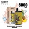 Rasht plus - 5000 затяжек Vape-Elita Магазин электронных испарителей и сигарет