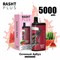 Rasht plus - 5000 затяжек Vape-Elita Магазин электронных испарителей и сигарет