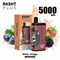 Rasht plus - 5000 затяжек Vape-Elita Магазин электронных испарителей и сигарет