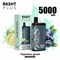Rasht plus - 5000 затяжек Vape-Elita Магазин электронных испарителей и сигарет