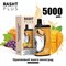 Rasht plus - 5000 затяжек Vape-Elita Магазин электронных испарителей и сигарет